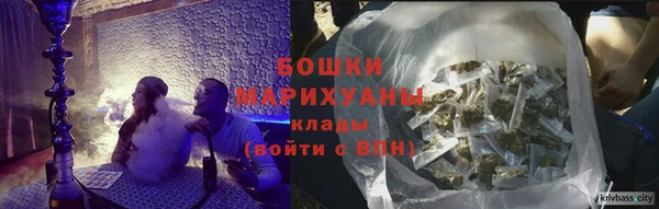 гидра Новозыбков