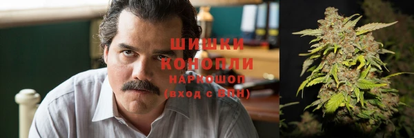 гидра Новозыбков