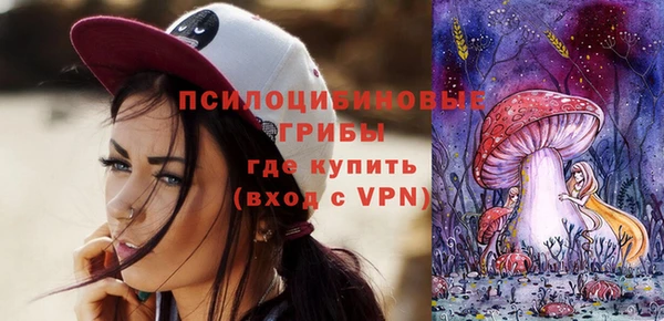 гидра Новозыбков