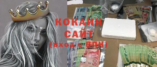 гидра Новозыбков