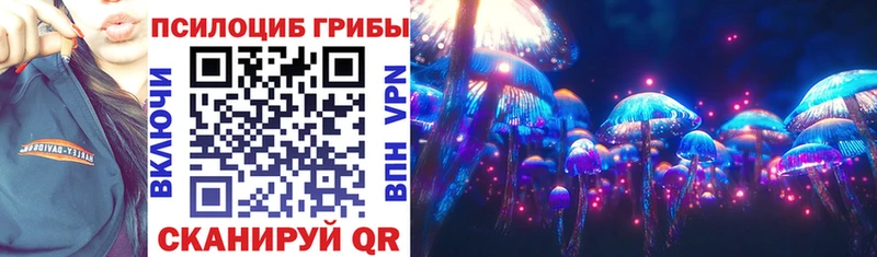 Псилоцибиновые грибы Psilocybe  Райчихинск 
